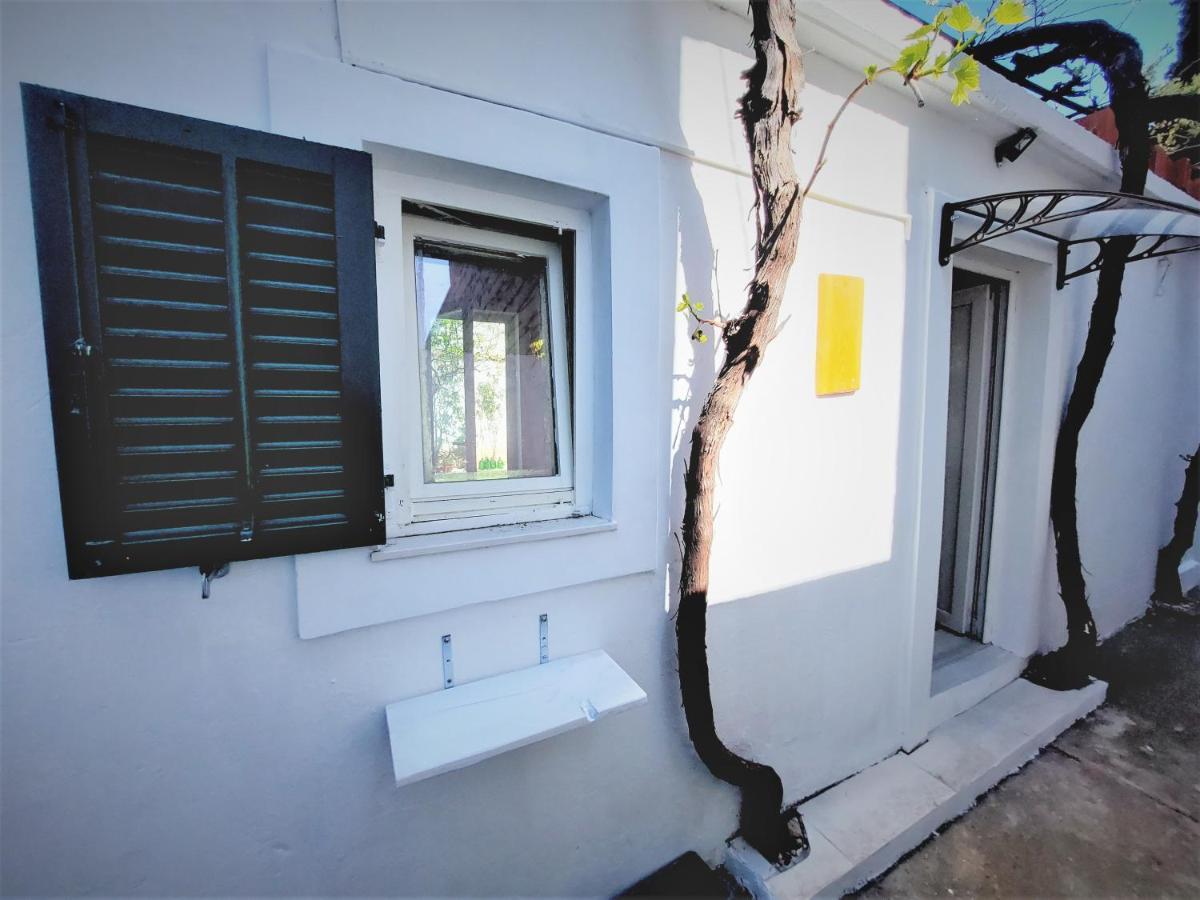 Center Apartment